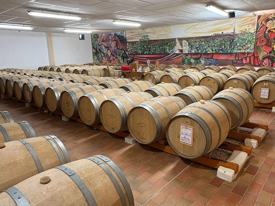 Erhvervsejendom i Pomerol, Gironde - foto 1