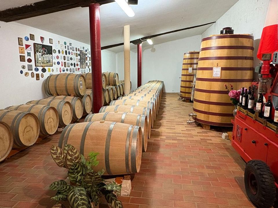 Erhvervsejendom i Pomerol, Gironde - foto 3