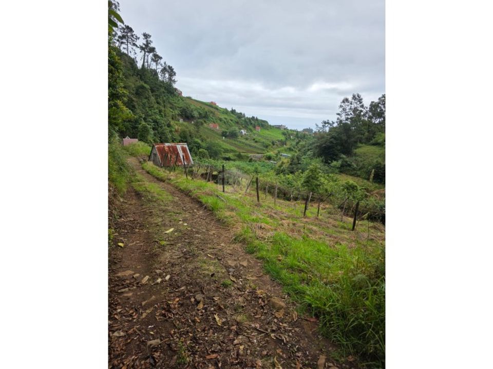 Helårsgrund i Santana, Madeira - foto 4