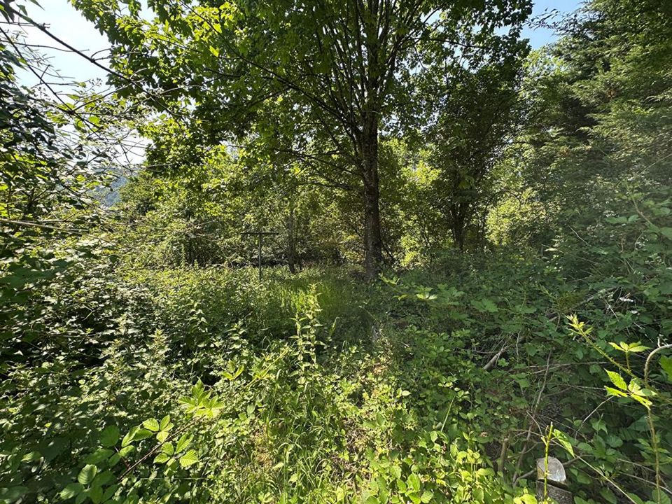 Helårsgrund i Kruth, Haut-Rhin - foto 2