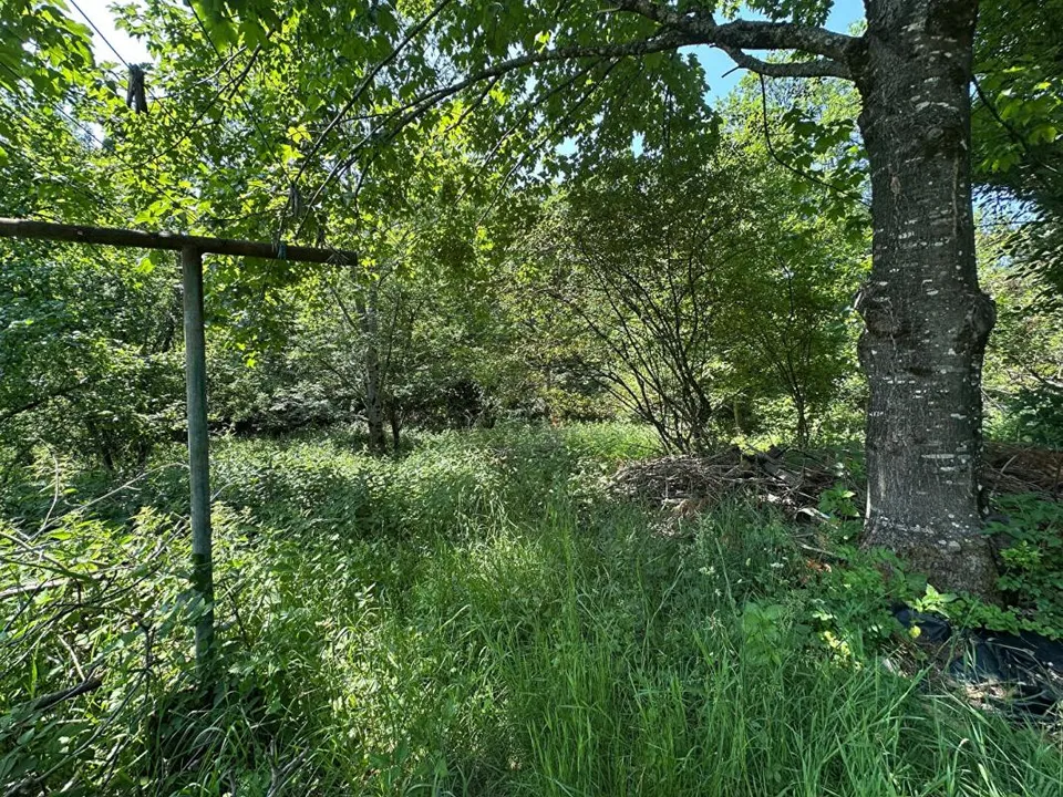 Helårsgrund i Kruth, Haut-Rhin - foto 3