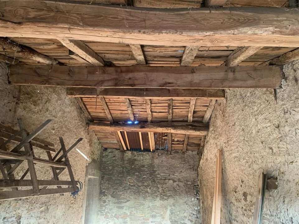 Villa i Saint-Fiacre-sur-Maine, Loire-Atlantique - foto 1