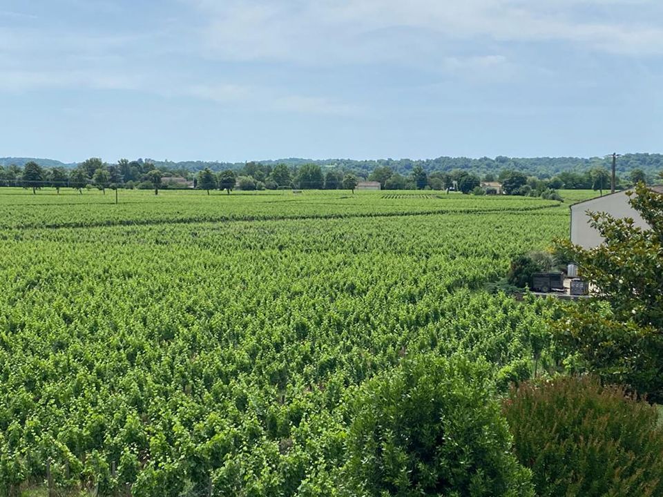 Villa i Vignonet, Gironde - foto 4