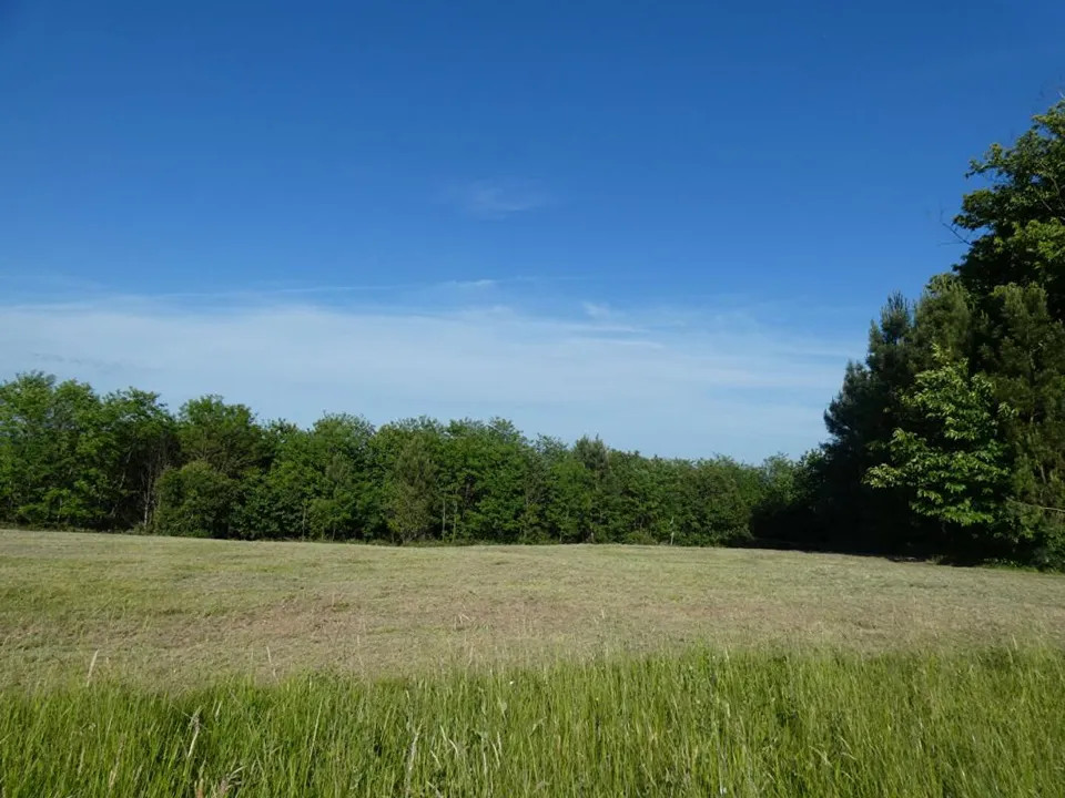 Helårsgrund i Sarlat-la-Caneda, Dordogne - foto 1