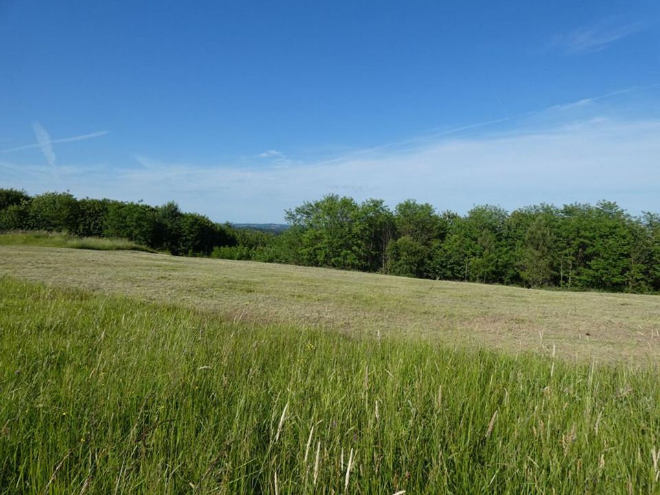 Helårsgrund i Sarlat-la-Caneda, Dordogne - foto 2