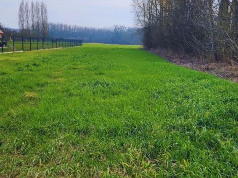 Helårsgrund i Saint-Paul-aux-Bois, Aisne - foto 3