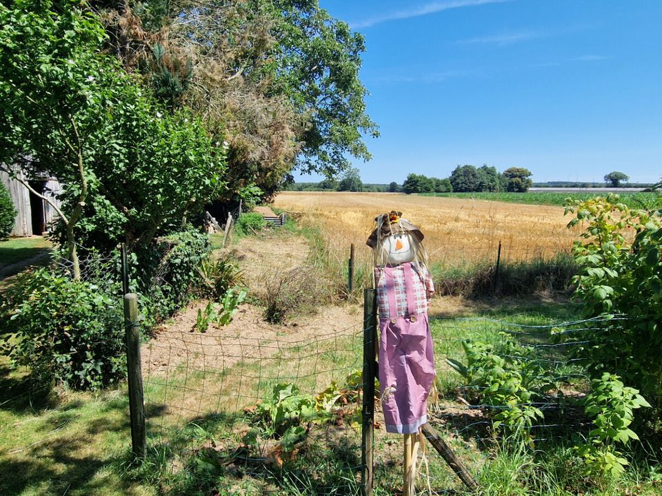 Villa i Plumieux, Cotes-d'Armor - foto 3