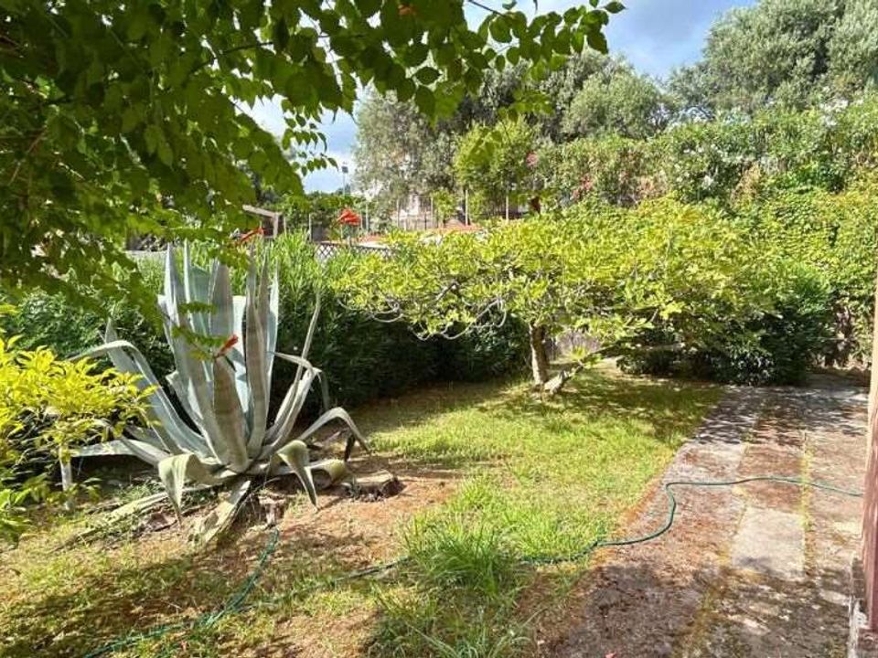 Farm hus i Belvedere Marittimo, Cosenza - foto 1