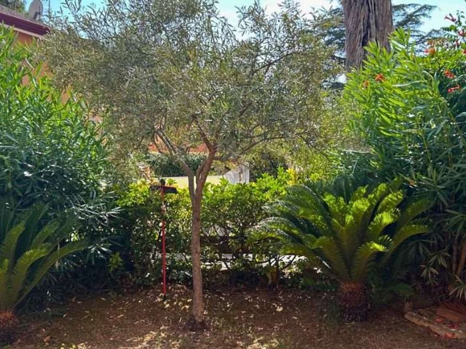 Farm hus i Belvedere Marittimo, Cosenza - foto 2