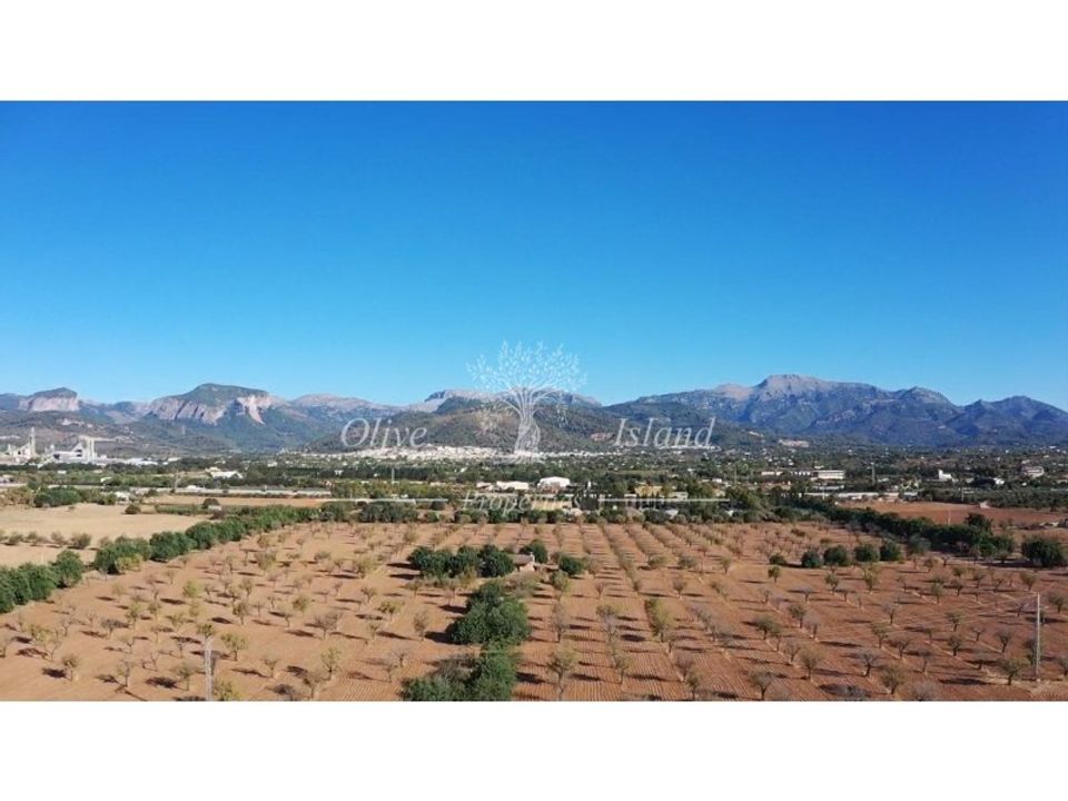 Helårsgrund i Inca, Mallorca - foto 1