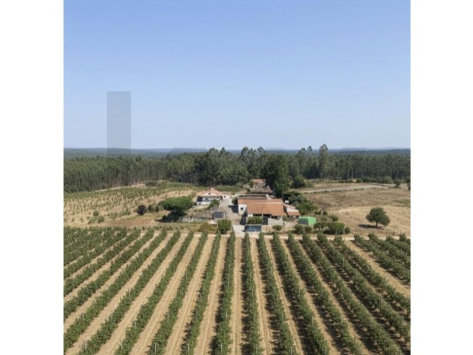 Granja a Valado dos Frades, Leiria - foto 1