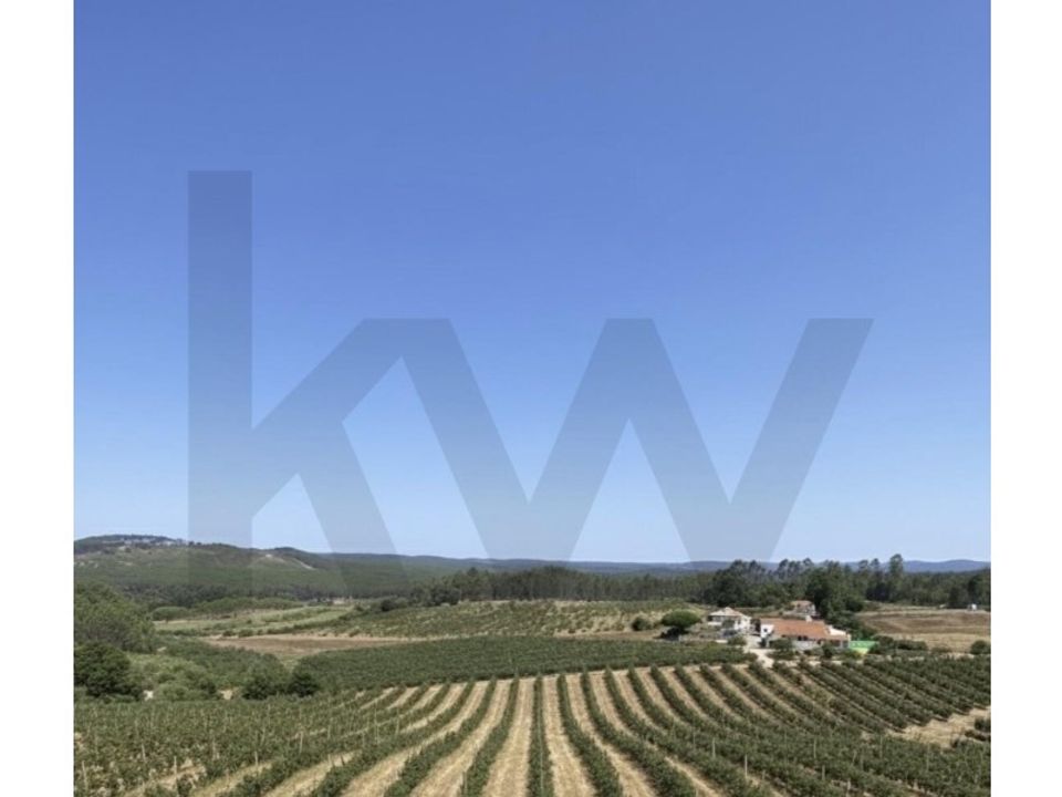 Granja a Valado dos Frades, Leiria - foto 4