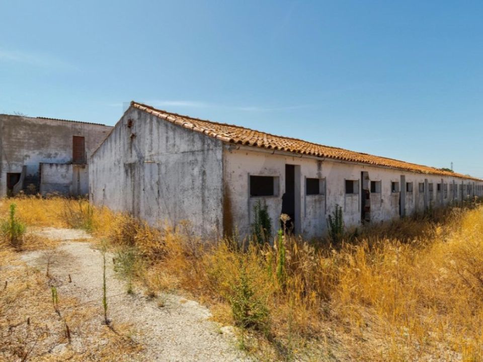 Tomt i Quinta do Anjo, Setubal - bilde 5