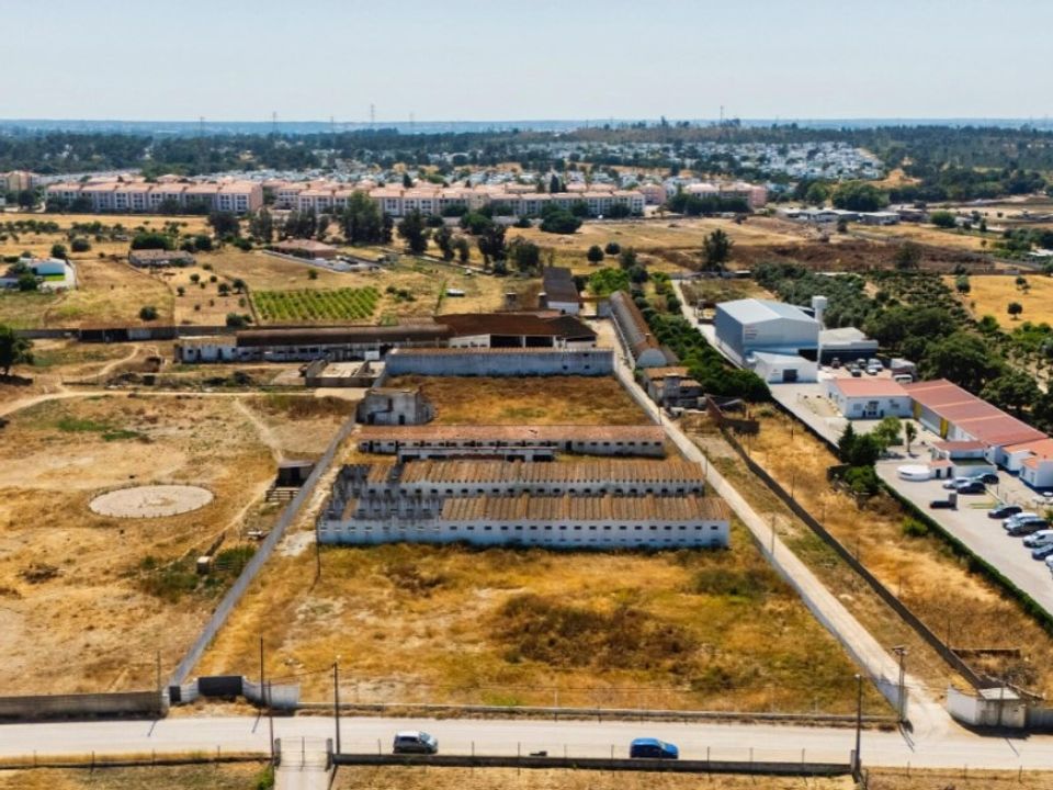 Tomt i Quinta do Anjo, Setubal - bilde 4