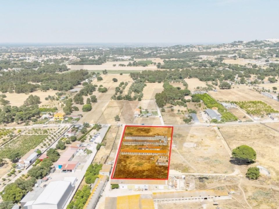 Tomt i Quinta do Anjo, Setubal - bilde 1