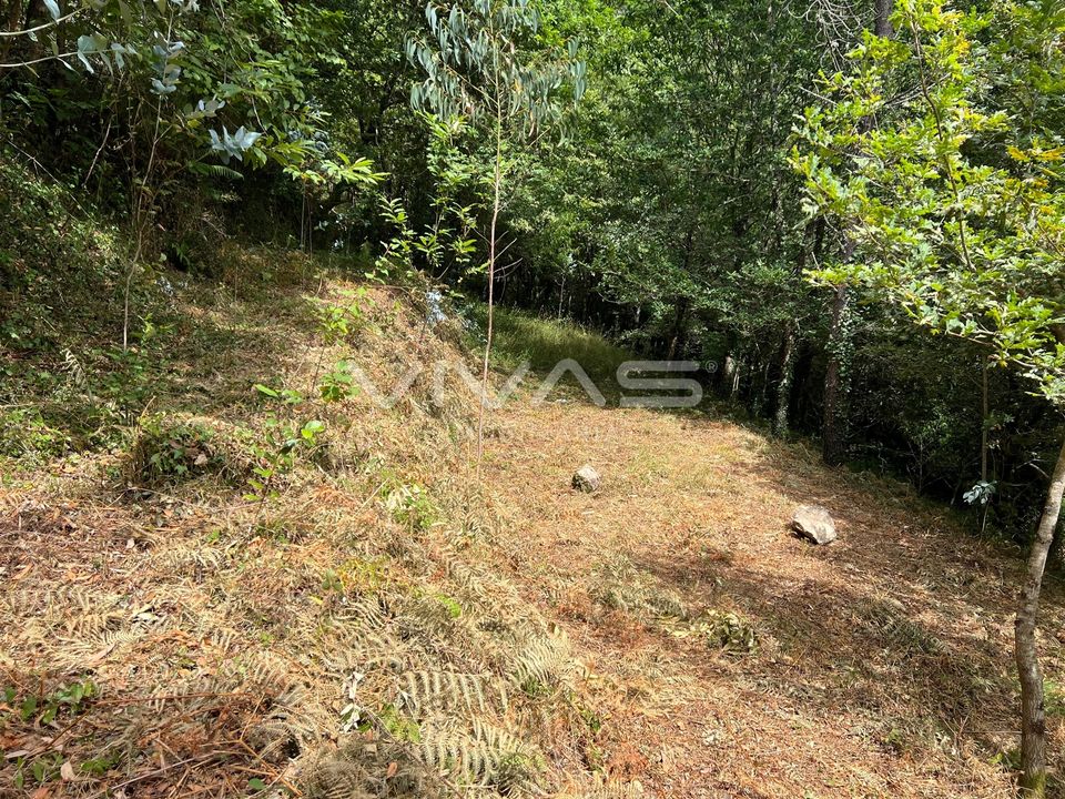 Terra a Amares, Braga - foto 2