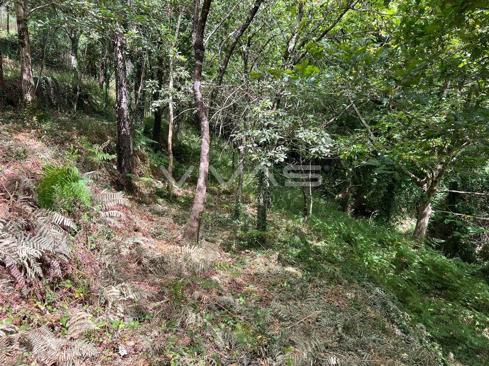 Terra a Amares, Braga - foto 3
