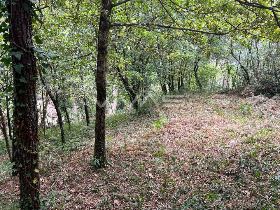 Terra a Amares, Braga - foto 5