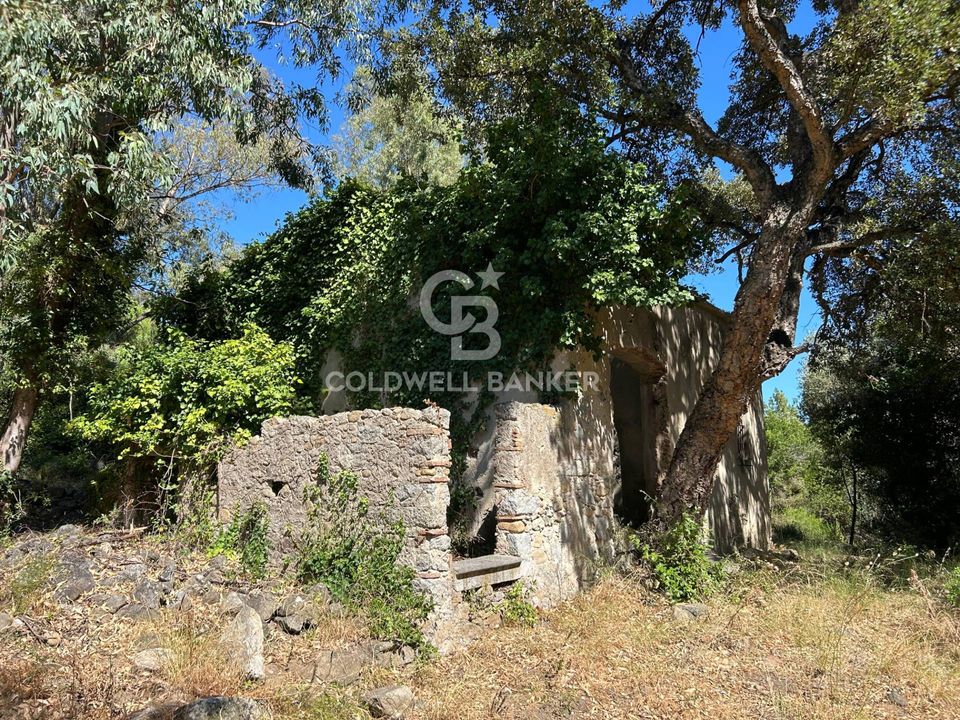 Herregård i Campo Nell'Elba, Livorno - bilde 3