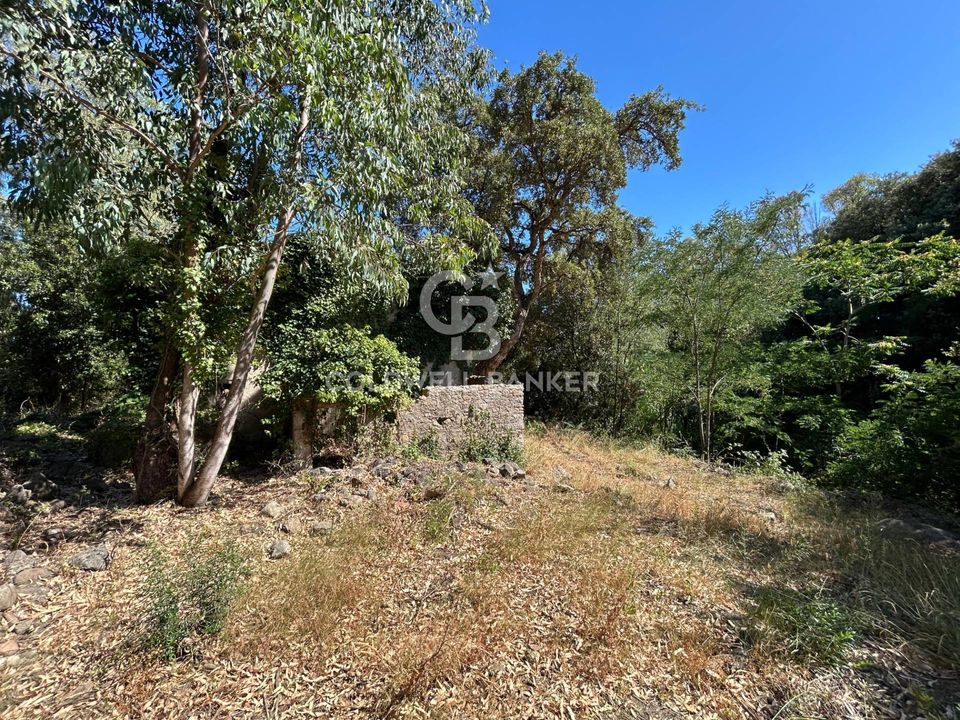 Herregård i Campo Nell'Elba, Livorno - bilde 4