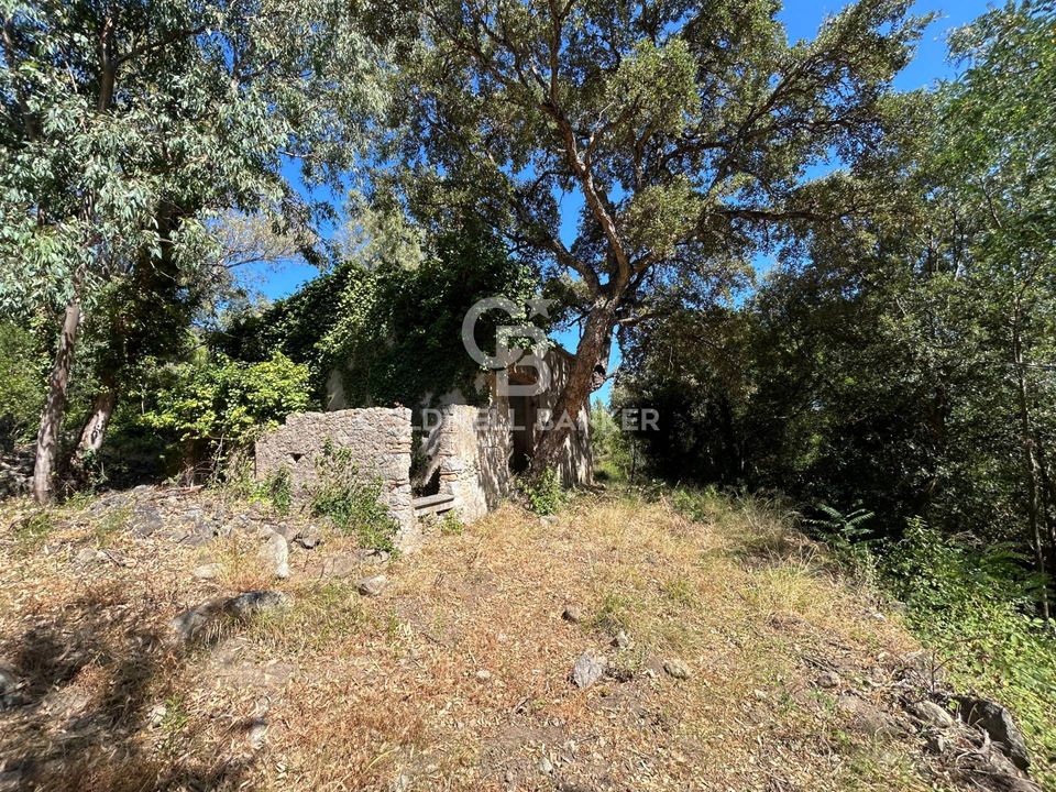 Herregård i Campo Nell'Elba, Livorno - bilde 5