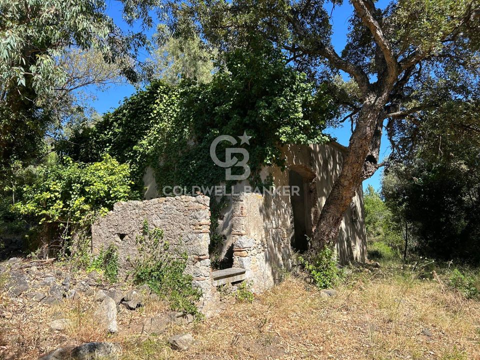 Herregård i Campo Nell'Elba, Livorno - bilde 1