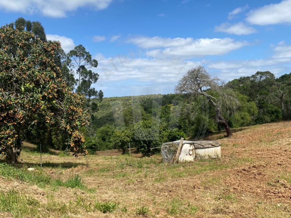 Farm i Aldeia de Sao Luis, Beja - foto 1