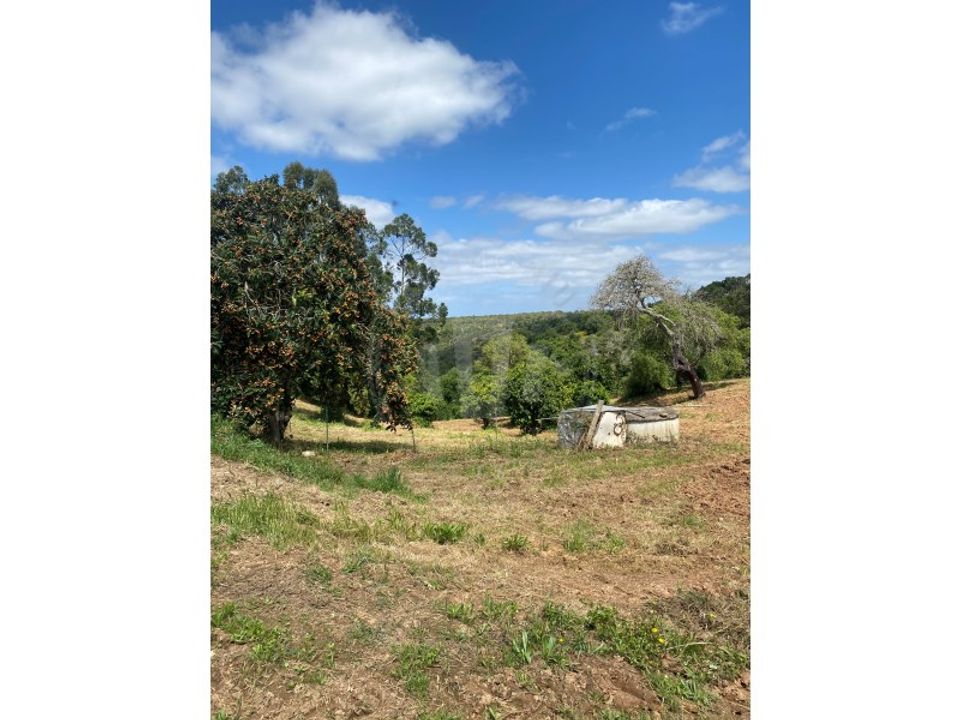 Farm i Aldeia de Sao Luis, Beja - foto 2