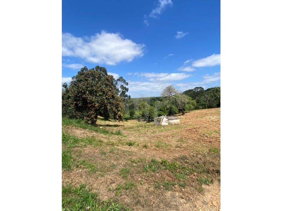 Farm i Aldeia de Sao Luis, Beja - foto 5