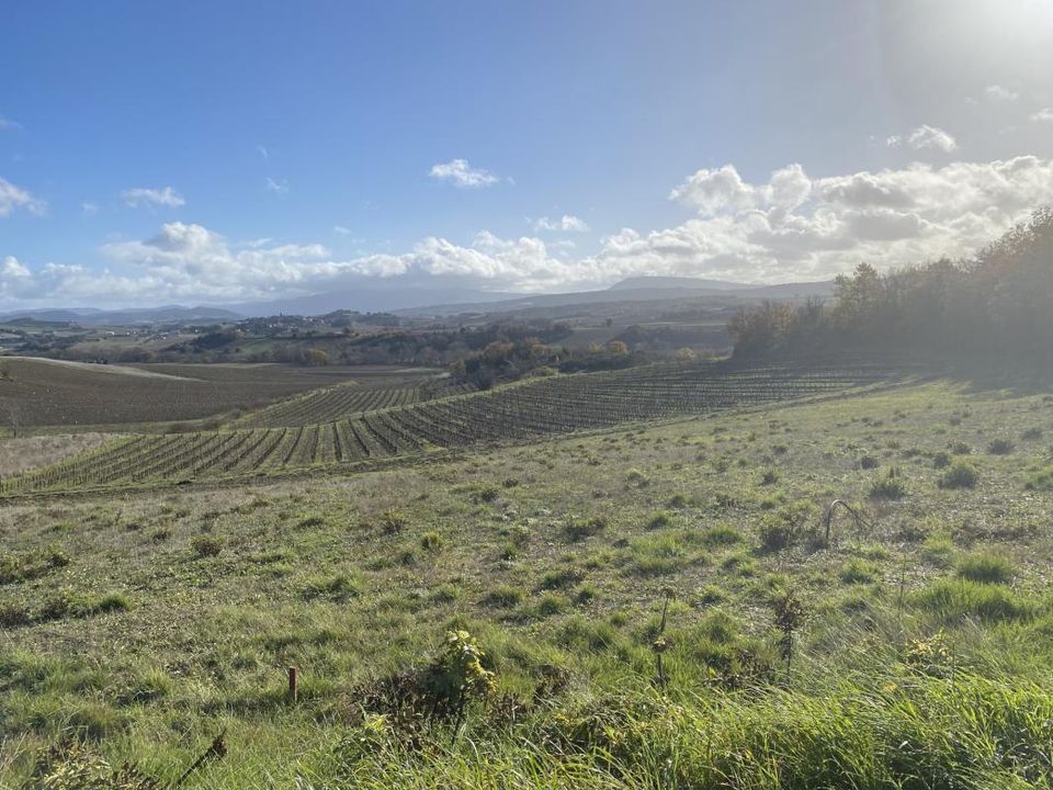 Helårsgrund i Limoux, Aude - foto 3