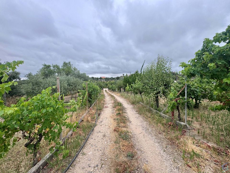 Tomt i Tomar, Santarem - bilde 1
