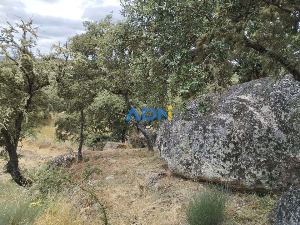 Helårsgrund i Castelo Mendo, Guarda - foto 4