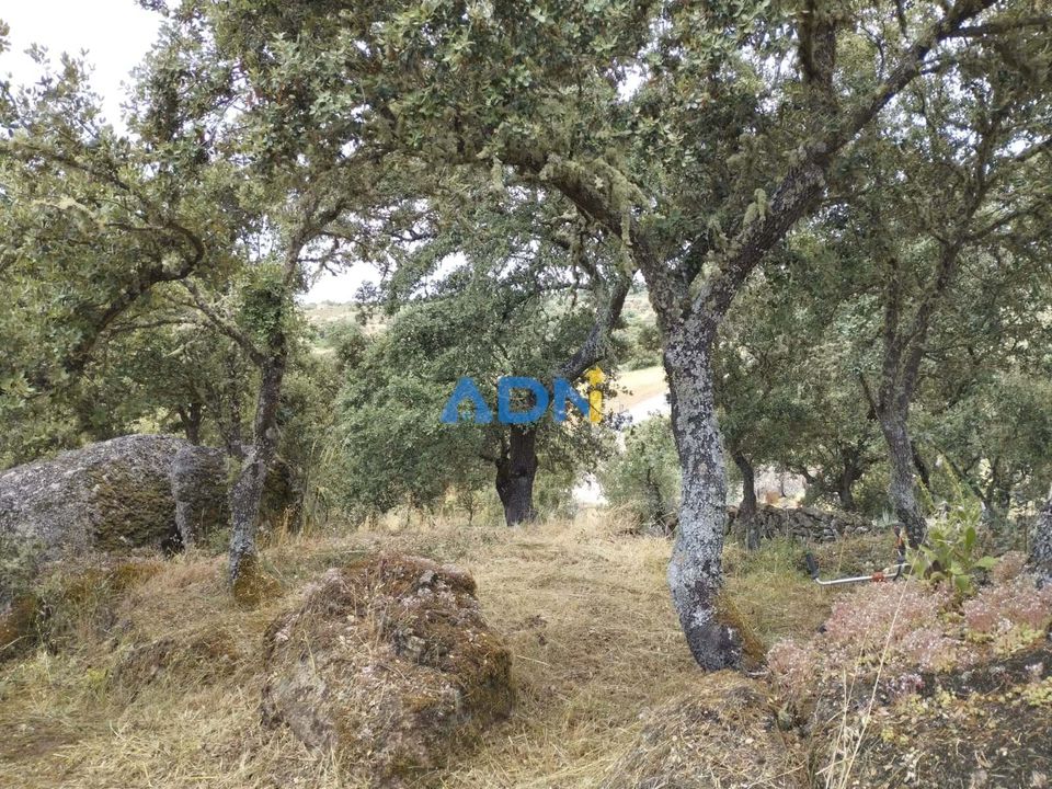 Helårsgrund i Castelo Mendo, Guarda - foto 5