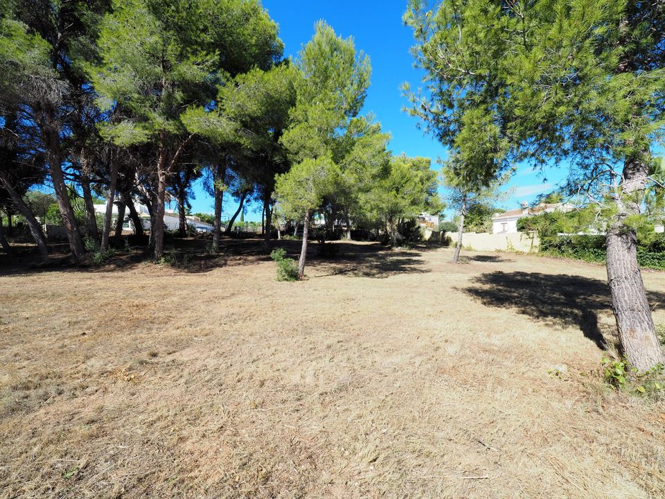 Helårsgrund i Javea, Alicante - foto 3