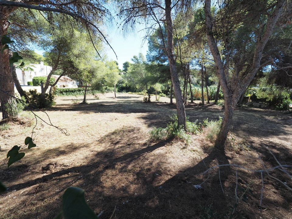 Helårsgrund i Javea, Alicante - foto 4