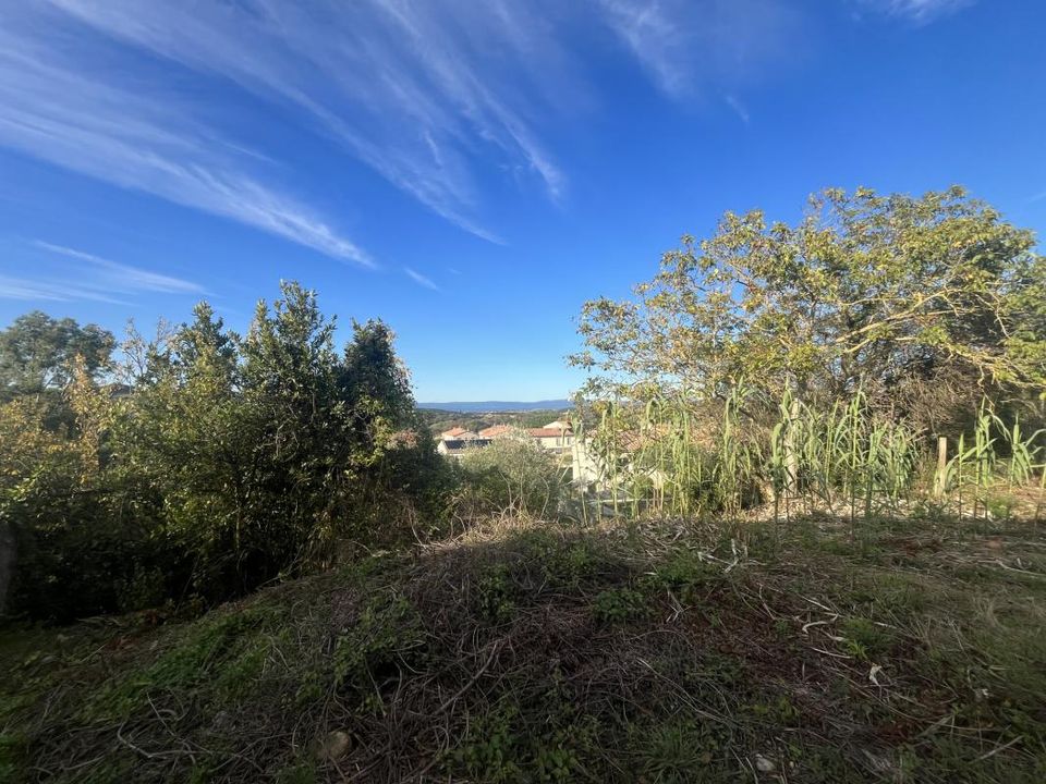 Land in Pomas, Aude - photo 3