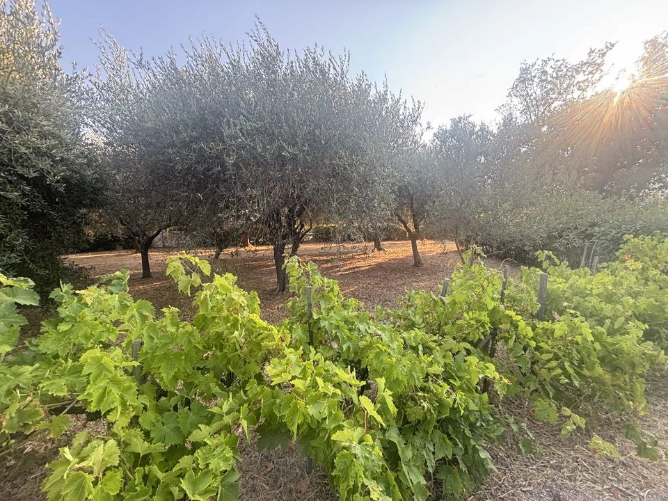 Helårsgrund i Figanières, Var - foto 3