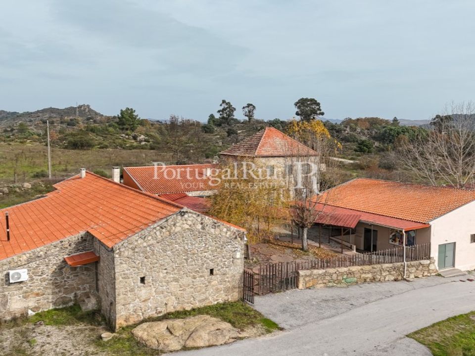Farm i Belmonte, Castelo Branco - foto 5
