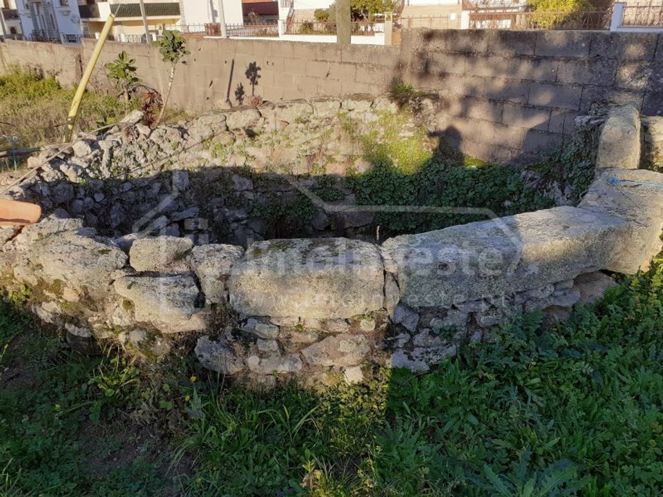 Terra a Alcains, Castelo Branco - foto 5