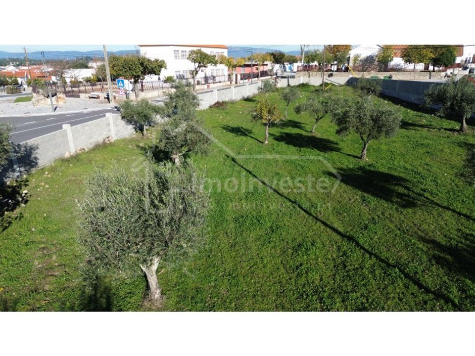 Terra a Alcains, Castelo Branco - foto 3