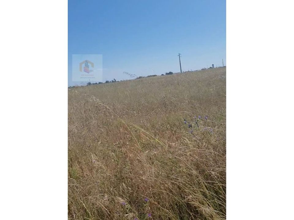 Helårsgrund i Alpiarca, Santarem - foto 1
