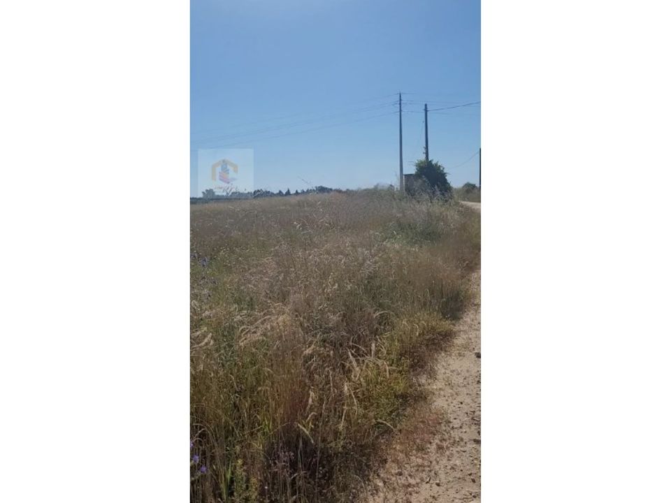 Helårsgrund i Alpiarca, Santarem - foto 3