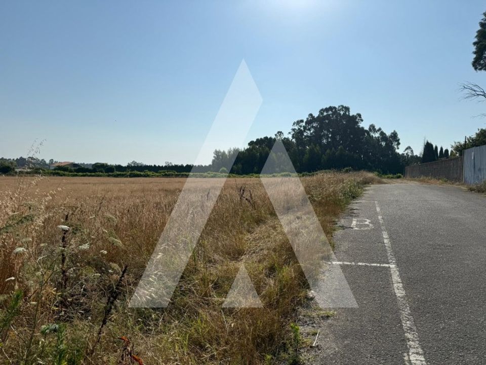Tomt i Aveiro, Aveiro - bilde 4