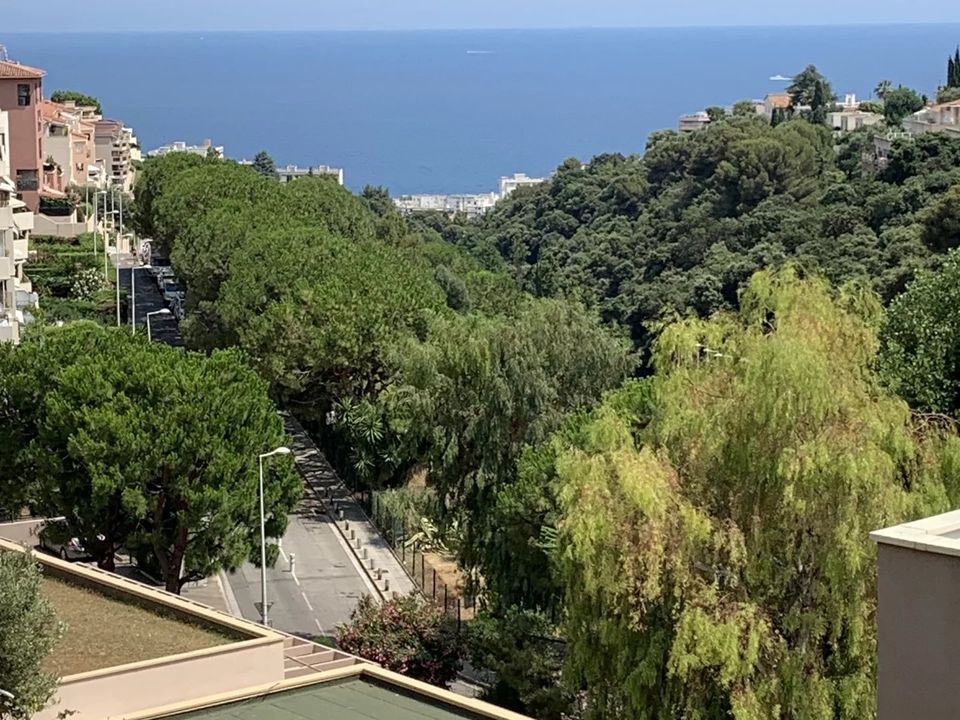 Lejlighed i Nice, Alpes-Maritimes - foto 4