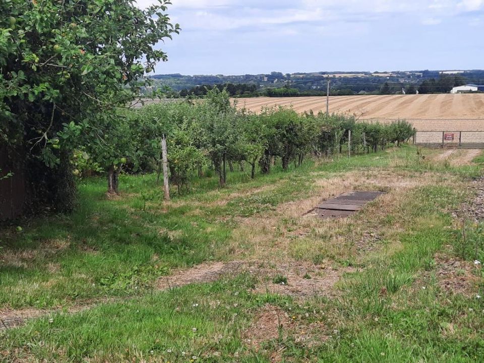 Helårsgrund i Naveil, Loir-et-Cher - foto 1