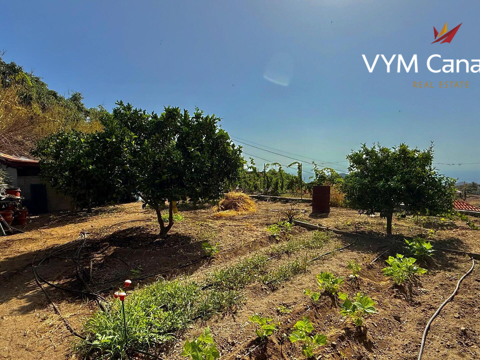 Finca i Guimar, Tenerife - foto 3
