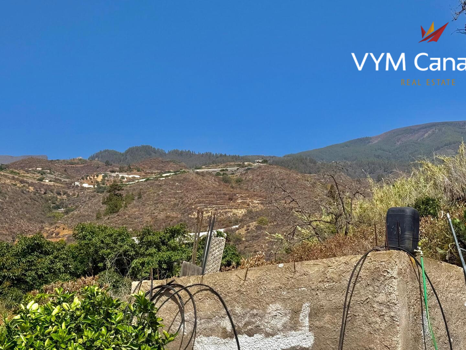 Finca i Guimar, Tenerife - foto 5