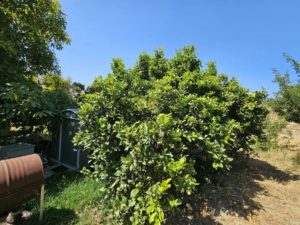 Villa i Casares, Malaga - foto 3