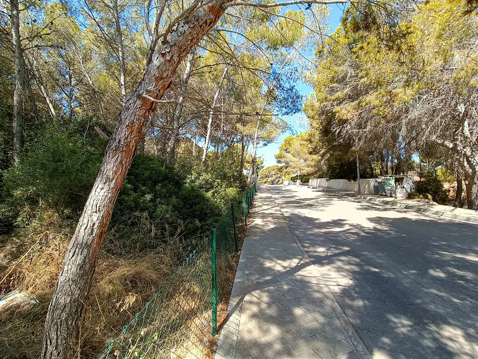 Helårsgrund i Sol De Mallorca, Mallorca - foto 2