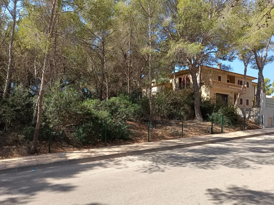 Helårsgrund i Sol De Mallorca, Mallorca - foto 3